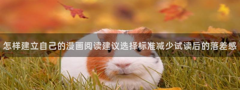 梦漫漫画软件使用