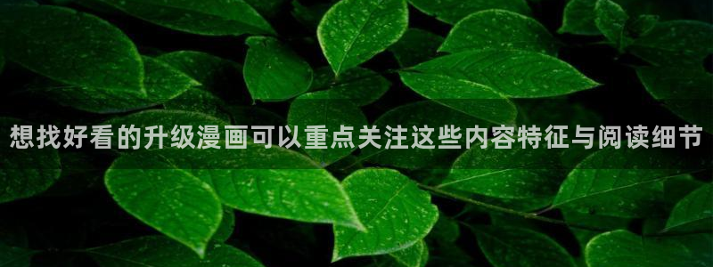 梦漫漫画韩漫推荐